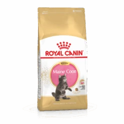 Royal Canin Maine Coon Chaton Pour Chat 4kg