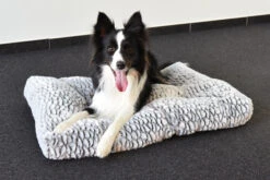 Flamingo Coussin Snoozzy Rectangulaire Gris/noir 120x80x17cm -Pet Market Soldes 02b85646dde52c6d7638ac66ec090ce4203430de691d159de28b40c05e2dab43