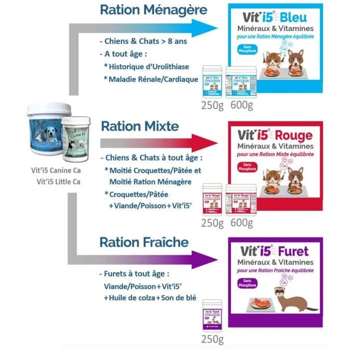 Vit'i5 Bleu (Remplace Les Vit'5 Canine Ca Et Vit'5 Little Ca) 6 Vit'i5 Bleu (Remplace Les Vit'5 Canine Ca Et Vit'5 Little Ca) – Image 6