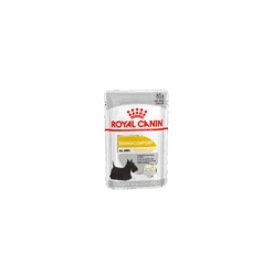 Royal Canin Dalmatien Dermacomfort Pour Chien 12 X 85g