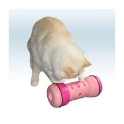 Pipolino Chat 7 Pipolino Chat -Pet Market Soldes 0c7e43b6822aec25af84b66c513888aaca56d306a293d72cd23f2d58b3147775