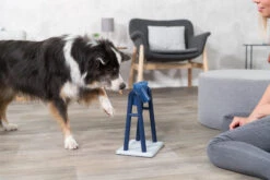 Trixie Jeu De Stratégie Pour ChienTurn Around 22 X 33 X 18 Cm 21 Trixie Jeu De Stratégie Pour ChienTurn Around 22 X 33 X 18 Cm -Pet Market Soldes 0f699245a06ad2cc79e33cb32b311778baffb1a2926c68396d937da1b57a670a