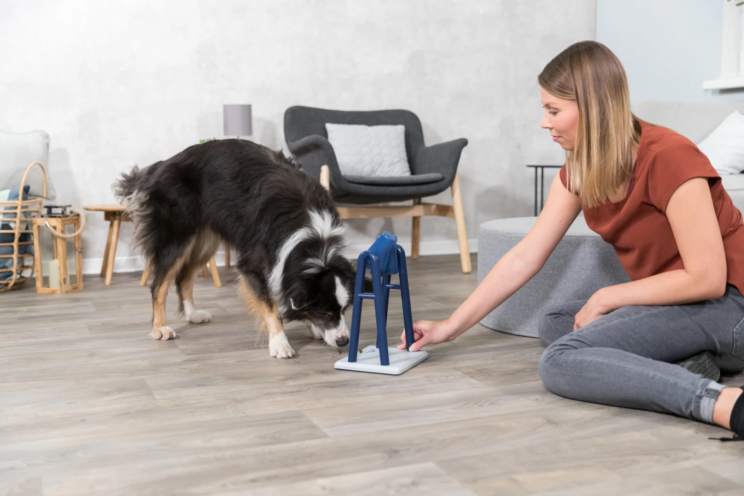 Trixie Jeu De Stratégie Pour ChienTurn Around 22 X 33 X 18 Cm 12 Trixie Jeu De Stratégie Pour ChienTurn Around 22 X 33 X 18 Cm – Image 12