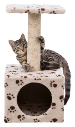 Trixie Junior Arbre À Chat Zamora 60 Cm -Pet Market Soldes 296430a49650021715428d96024094018a9344f44bd305f178e0c7dc9eaccf76