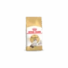 Royal Canin Ragdoll Adult Pour Chat 10kg