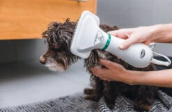 Trixie Brosse à Air Chaud 300w 13 Trixie Brosse à Air Chaud 300w -Pet Market Soldes 35d0b858085c25112343600712b4666485082c219a52a2262cbd18a3765f0876