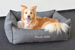 Flamingo Panier Dream Away Rectangulaire Fermeture Eclair Gris 70x50x25cm -Pet Market Soldes 37f8f9d2bcfc787457edfad65b22465252c2a8c68572c85fe01192a8db693fd9