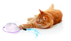 Flamingo Jouet Chat Scully Electro Dia. 9,7cm -Pet Market Soldes 3d4ac882144732a573bc9a9fe49e8486bec0b72ce14c568f12cc401fda006346