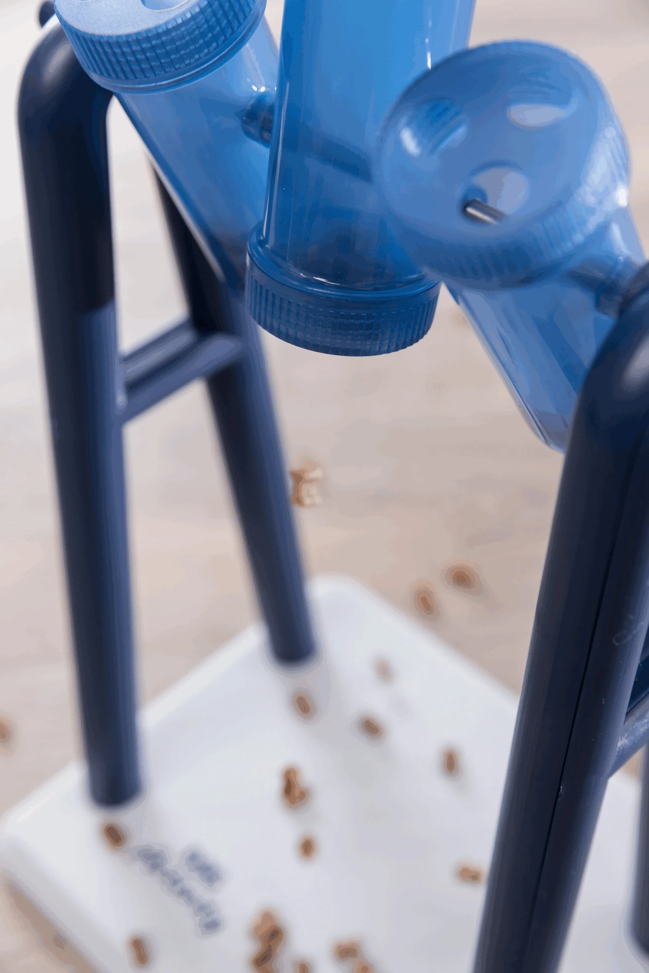 Trixie Jeu De Stratégie Pour ChienTurn Around 22 X 33 X 18 Cm 7 Trixie Jeu De Stratégie Pour ChienTurn Around 22 X 33 X 18 Cm – Image 7