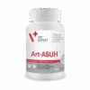 Art-ASUH S - 60 Capsules