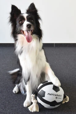 Flamingo Jouet Chien Matchball Balle De Foot 12,5cm -Pet Market Soldes 40ceb270f0ae1d84ac34a9c72537280e20e86552eaf2ba2e45995c5537755e53