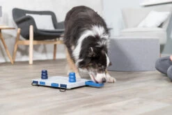 Trixie Jeu De Stratégie Pour Chien Move2win 34 X 23 Cm -Pet Market Soldes 41b276bbf1c6c4e89a9a9b411f443ef31714321430cac77bc060e668ec60b5ca