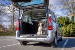Trixie Protection Chien Pour Voiture Avec Fixations Aux Appuies-tête 105-172 Cm -Pet Market Soldes 43b9171670aa632db8d0b50216bda1040921a87f11069c8ac80902918560e8aa