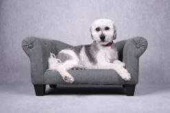 Flamingo Sofa Maximilien Gris 71x45x34cm 8 Flamingo Sofa Maximilien Gris 71x45x34cm -Pet Market Soldes 520605 S 01