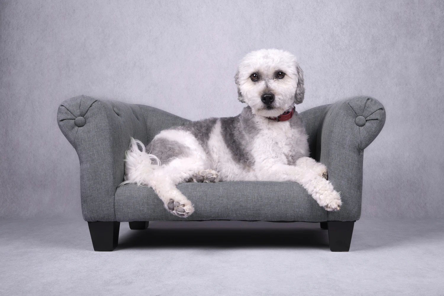 Flamingo Sofa Maximilien Gris 71x45x34cm 3 Flamingo Sofa Maximilien Gris 71x45x34cm – Image 3