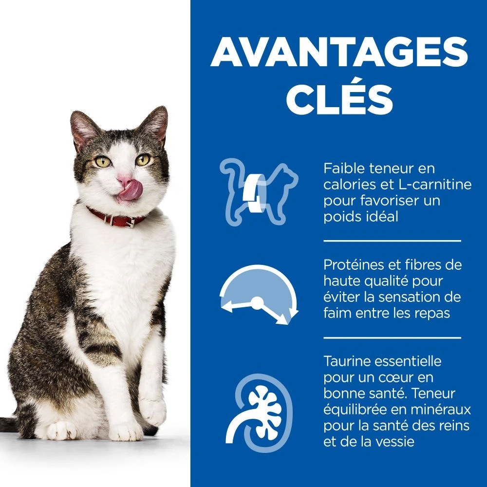 Hill's Science Plan Mature Adult Light Croquettes Pour Chat Sénior Au Poulet 2 Hill's Science Plan Mature Adult Light Croquettes Pour Chat Sénior Au Poulet – Image 2
