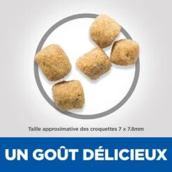 Hill's Science Plan Mature Adult Light Croquettes Pour Chat Sénior Au Poulet 7 Hill's Science Plan Mature Adult Light Croquettes Pour Chat Sénior Au Poulet -Pet Market Soldes 52742023229 3 science plan chat g mature light croquettes poulet