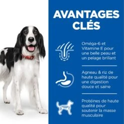 Hill's Science Plan Adult Croquettes Pour Chien Medium -Pet Market Soldes 52742025865 3 science plan chien adulte medium croquettes agneau