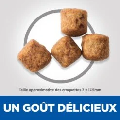 Hill's Science Plan Senior Vitality Croquettes Pour Grand Chien Mature Au Poulet Et Au Riz 14Kg -Pet Market Soldes 52742025964 4 science plan senior vitaity chien large croquettes poulet