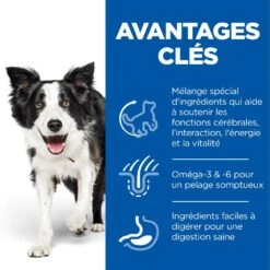 Hill's Science Plan Senior Vitality Croquettes Pour Chien âgé Au Poulet 14Kg -Pet Market Soldes 52742026107 3 science plan senior vitality chien medium croquettes poulet