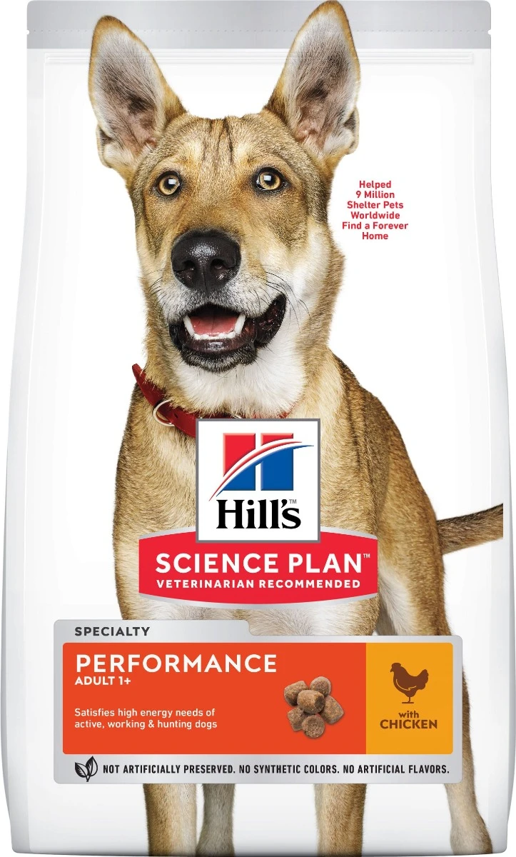 Hill's Science Plan Adult Performance Croquettes Pour Chien Au Poulet 14Kg 2 Hill's Science Plan Adult Performance Croquettes Pour Chien Au Poulet 14Kg – Image 2