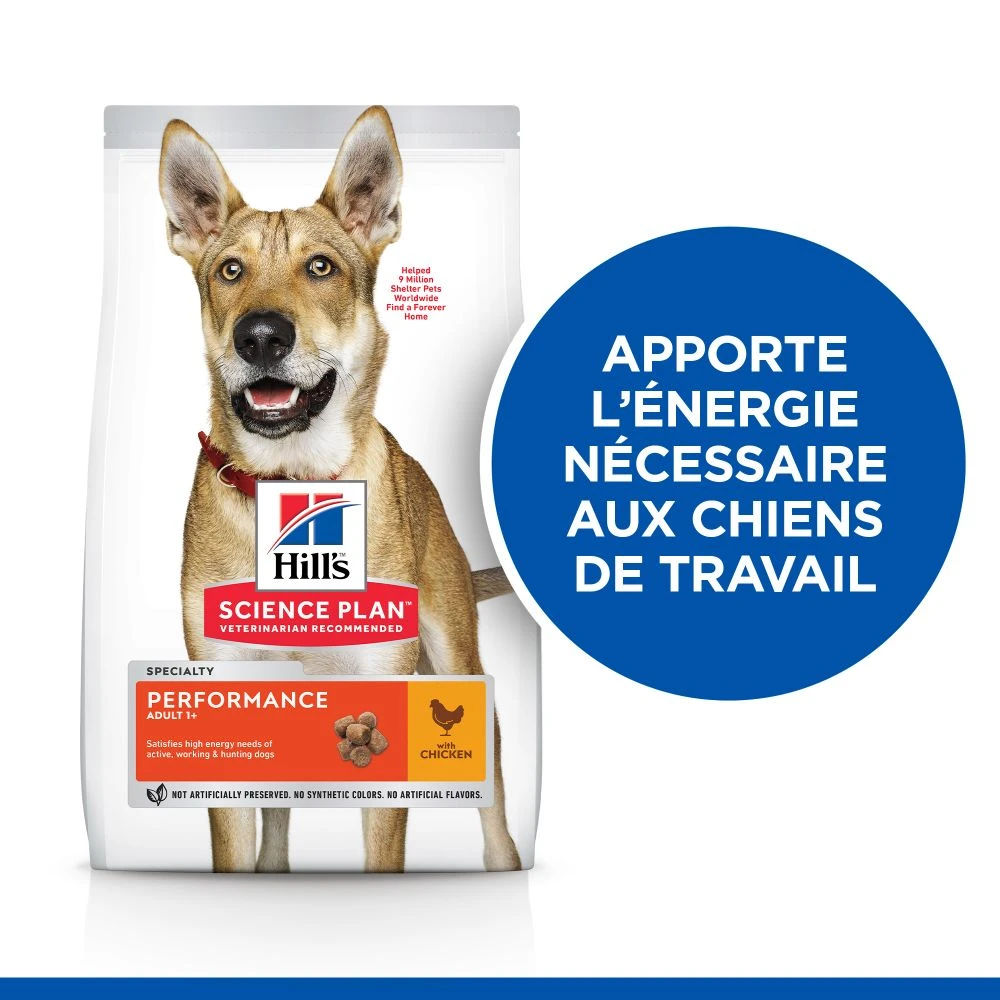 Hill's Science Plan Adult Performance Croquettes Pour Chien Au Poulet 14Kg 3 Hill's Science Plan Adult Performance Croquettes Pour Chien Au Poulet 14Kg – Image 3