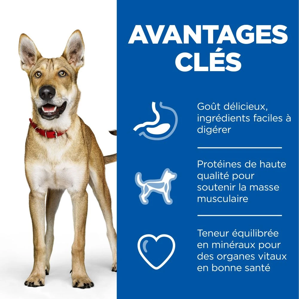 Hill's Science Plan Adult Performance Croquettes Pour Chien Au Poulet 14Kg 4 Hill's Science Plan Adult Performance Croquettes Pour Chien Au Poulet 14Kg – Image 4