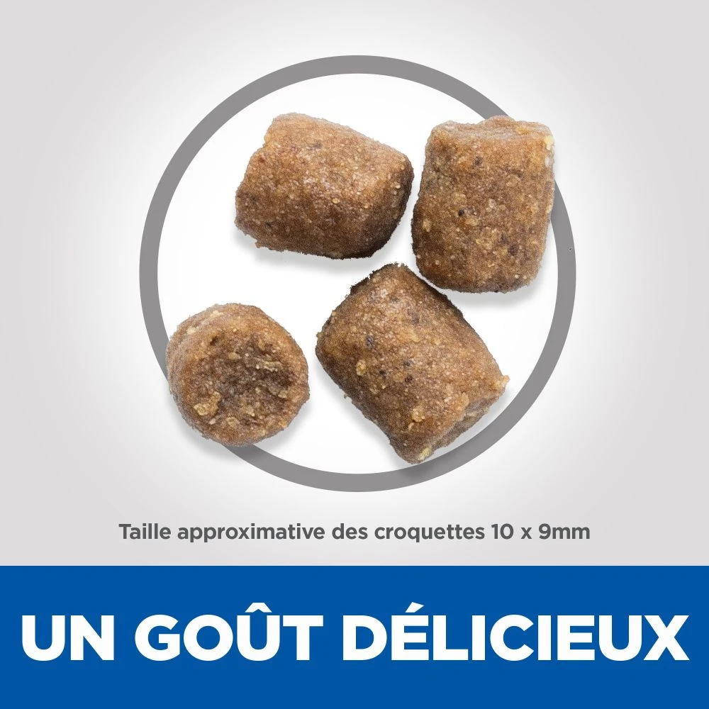 Hill's Science Plan Adult Performance Croquettes Pour Chien Au Poulet 14Kg 5 Hill's Science Plan Adult Performance Croquettes Pour Chien Au Poulet 14Kg – Image 5