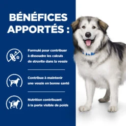 Hill's Prescription Diet C/d Multicare + Metabolic Croquettes Pour Chien -Pet Market Soldes 52742037394 4 prescription diet chien c d multicare metabolic croquettes