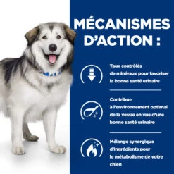 Hill's Prescription Diet C/d Multicare + Metabolic Croquettes Pour Chien -Pet Market Soldes 52742037394 5 prescription diet chien c d multicare metabolic croquettes