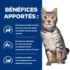 Hill's Prescription Diet C/D Urinay Stress + Metabolic Croquettes Pour Chat Au Poulet 15 Hill's Prescription Diet C/D Urinay Stress + Metabolic Croquettes Pour Chat Au Poulet -Pet Market Soldes 52742037417 4 prescription diet chat urinary stress metabolic croquettes