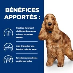 Hill's Prescription Diet Z/D AB+ Pour Chien Au Poulet 11 Hill's Prescription Diet Z/D AB+ Pour Chien Au Poulet -Pet Market Soldes 52742040455 4 prescription diet chien z d croquettes