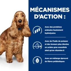 Hill's Prescription Diet Z/D AB+ Pour Chien Au Poulet 12 Hill's Prescription Diet Z/D AB+ Pour Chien Au Poulet -Pet Market Soldes 52742040455 5 prescription diet chien z d croquettes
