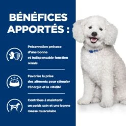 Hill's Prescription Diet K/D Early Stage Croquettes Pour Chien Au Poulet 11 Hill's Prescription Diet K/D Early Stage Croquettes Pour Chien Au Poulet -Pet Market Soldes 52742042374 4 prescription diet chien k d early stage croquettes poulet