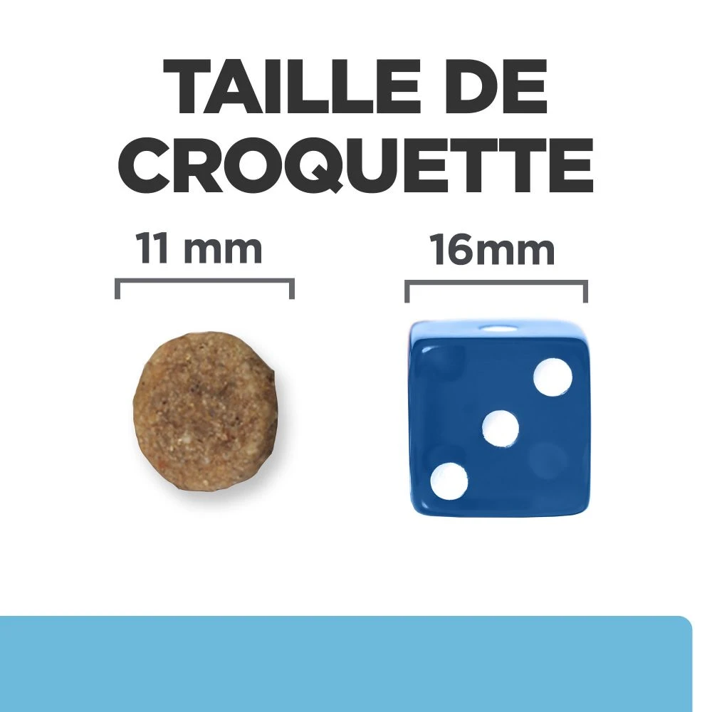 Hill's Prescription Diet K/D Early Stage Croquettes Pour Chien Au Poulet 6 Hill's Prescription Diet K/D Early Stage Croquettes Pour Chien Au Poulet – Image 6