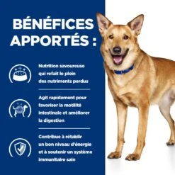 Hill's Prescription Diet I/D AB+ Pour Chien Au Poulet -Pet Market Soldes 52742043166 4 prescription diet chien i d croquettes