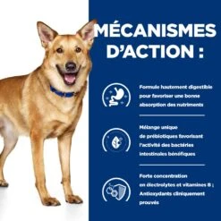 Hill's Prescription Diet I/D AB+ Pour Chien Au Poulet -Pet Market Soldes 52742043166 5 prescription diet chien i d croquettes