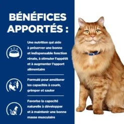 Hill's Prescription Diet K/D + Mobility Croquettes Pour Chat Au Poulet -Pet Market Soldes 52742044767 4 prescription diet chat k d mobility croquettes poulet