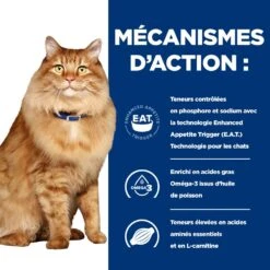 Hill's Prescription Diet K/D + Mobility Croquettes Pour Chat Au Poulet -Pet Market Soldes 52742044767 5 prescription diet chat k d mobility croquettes poulet