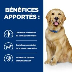 Hill's Prescription Diet J/D Mobility Croquettes Pour Chien Au Poulet -Pet Market Soldes 52742045740 4 prescription diet chien j d croquettes poulet