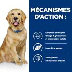 Hill's Prescription Diet J/D Mobility Croquettes Pour Chien Au Poulet -Pet Market Soldes 52742045740 5 prescription diet chien j d croquettes poulet