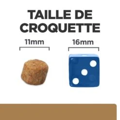 Hill's Prescription Diet J/D Mobility Croquettes Pour Chien Au Poulet -Pet Market Soldes 52742045740 6 prescription diet chien j d croquettes poulet