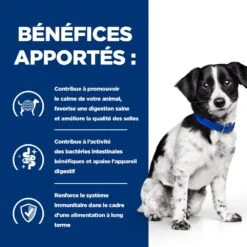 Hill's Prescription Diet I/D Stress Digestive Mini Pour Petit Chien Au Poulet -Pet Market Soldes 52742048123 4 prescription diet chien i d stress mini croquettes