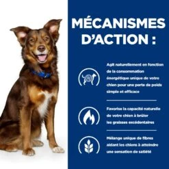 Hill's Prescription Diet Metabolic Pour Chien -Pet Market Soldes 52742209906 5 prescription diet chien metabolic croquettes poulet