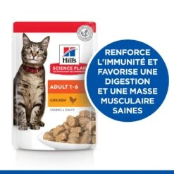 Hill's Science Plan Adult Multipack 12 Sachets De 85gr Repas Pour Chat Poulet, Bœuf Et Poisson 15 Hill's Science Plan Adult Multipack 12 Sachets De 85gr Repas Pour Chat Poulet, Bœuf Et Poisson -Pet Market Soldes 52742211800 2 science plan chat adulte sachet repas pack mixte