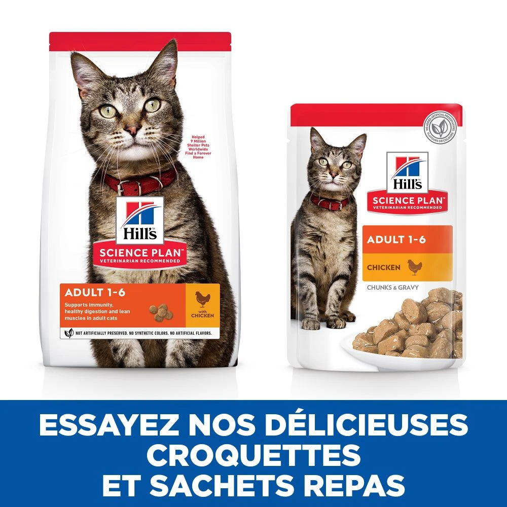 Hill's Science Plan Adult Multipack 12 Sachets De 85gr Repas Pour Chat Poulet, Bœuf Et Poisson 8 Hill's Science Plan Adult Multipack 12 Sachets De 85gr Repas Pour Chat Poulet, Bœuf Et Poisson – Image 8
