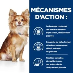 Hill's Prescription Diet T/D Pour Petit Chien -Pet Market Soldes 52742402109 5 prescription diet chien t d mini croquettes poulet