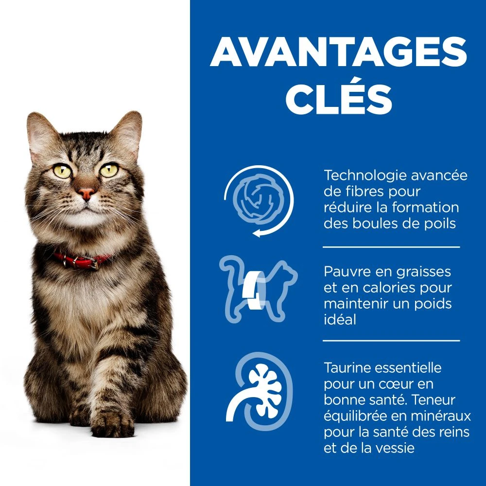 Hill's Science Plan Adult Hairball Indoor Croquettes Pour Chat Sénior D'intérieur Au Poulet 1,5 Kg 3 Hill's Science Plan Adult Hairball Indoor Croquettes Pour Chat Sénior D'intérieur Au Poulet 1,5 Kg – Image 3