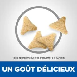 Hill's Science Plan Adult Hairball Indoor Croquettes Pour Chat Sénior D'intérieur Au Poulet 1,5 Kg 9 Hill's Science Plan Adult Hairball Indoor Croquettes Pour Chat Sénior D'intérieur Au Poulet 1,5 Kg -Pet Market Soldes 52742761008 4 science plan chat hairball indoor chat g interieur croquettes poulet