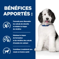 Hill's Prescription Diet C/D Urinary Multicare Croquettes Pour Chien Au Poulet -Pet Market Soldes 52742917603 4 prescription diet chien c d multicare croquettes poulet